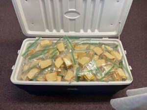 A lot of cheese sandwiches