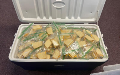 2025 Cheese Days